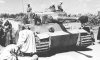 Panzer VI Tiger I (66)